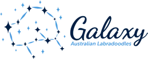 Galaxy Labradoodles logo