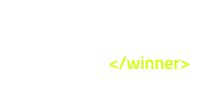 Netty Award Winner 2024
